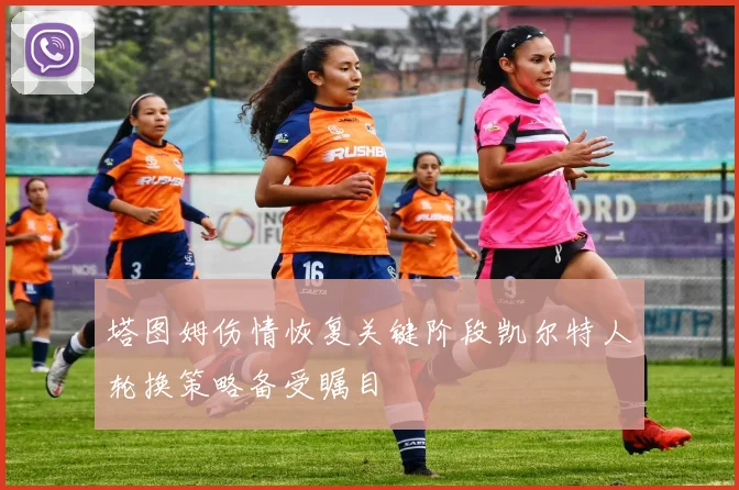 塔图姆伤情恢复关键阶段凯尔特人轮换策略备受瞩目