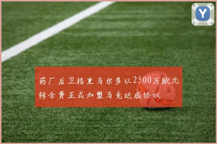 药厂后卫格里马尔多以2500万欧元转会费正式加盟马竞达成协议