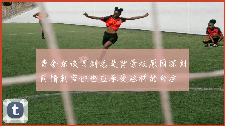 费舍尔谈马刺总是背景板原因深刻同情刺蜜但也应承受这样的命运