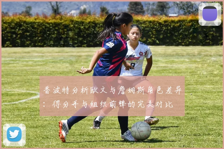 香波特分析欧文与詹姆斯角色差异：得分手与组织前锋的完美对比